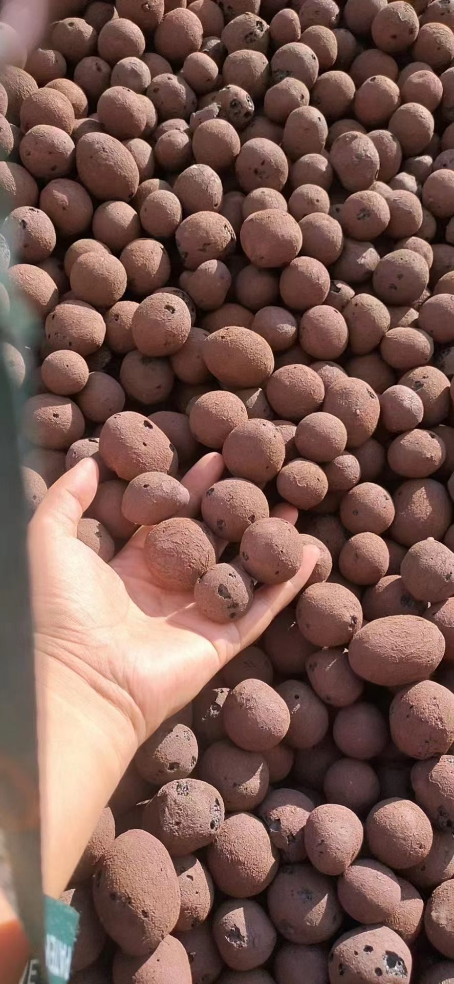陶粒实拍